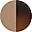 Tortoise Brown