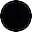 Shiny Black