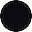 Shiny Black